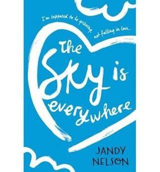 The Sky Is Everywhere - Jandy Nelson - Walker Books