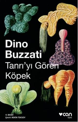 Tanrıyı Gören Köpek - Dino Buzzati - Can Yayınları