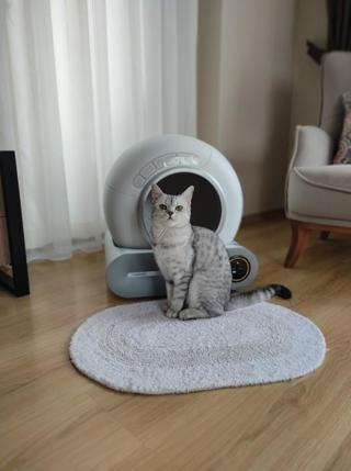 Internal Otomatik Kedi Tuvaleti - Akıllı Kedi Kumu Kabı