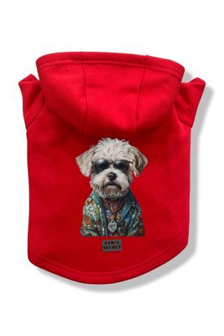 Paws Secret Köpek Kıyafeti Köpek Sweatshirt Hoodie Köpek Ürünleri Kedi Kıyafeti - Terrier L