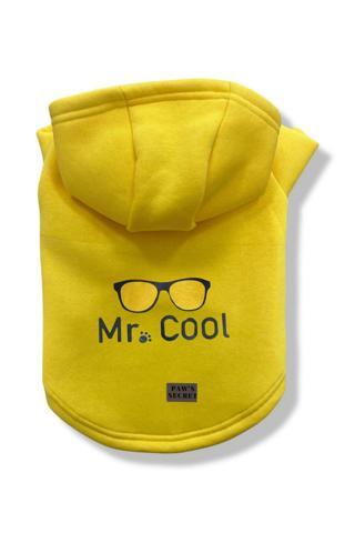 Paws Secret Köpek Kıyafeti Köpek Sweatshirt Hoodie Köpek Ürünleri Kedi Kıyafeti - Mr. Cool L