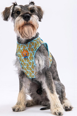 Pawstar Pizza Air-mesh Göğüs Tasması Kedi Köpek Göğüs Tasması Medium 