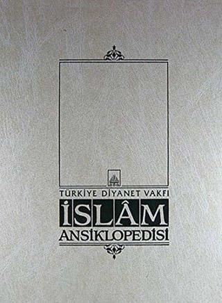 İslam Ansiklopedisi 41. Cilt (Tevekkül - Tüsteri) - Adnan Aslan - İsam Yayınları