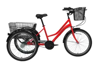Bisan Porter Nexus 3 Vites 24 Jant Şehir Kar-go Bisikleti Kırmızı Siyah 39 Kadro