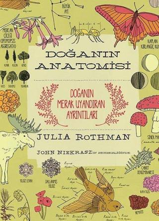 Doğanın Anatomisi - Julia Rothman - Odtü