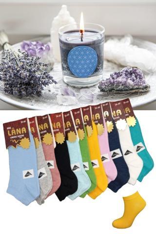 KRAL SOCKS Çorabı Renkli (10 Çift) Likralı Pamuklu Penye Kadın Patik Çorap