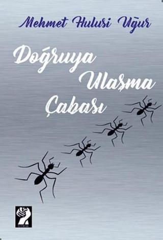 Doğruya Ulaşma Çabası - Mehmet Hulusi Uğur - İştirak Yayınları