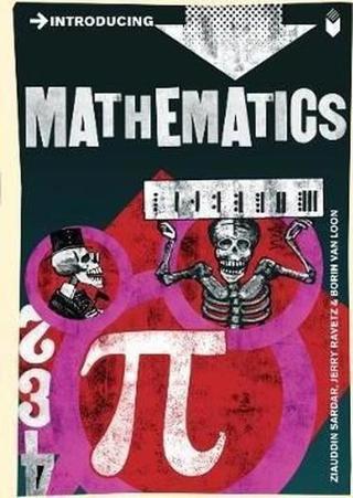 Introducing Mathematics: A Graphic Guide Jerry Ravetz Icon Books