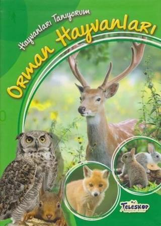 Hayvanları Tanıyorum-Orman Hayvanları - Teleskop Popüler Bilim