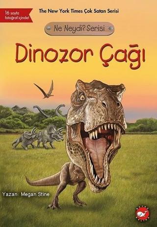Ne Neydi? Serisi-Dinozor Çağı - Megan Stine - Beyaz Balina Yayınları