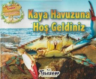 Kaya Havuzuna Hoş Geldiniz - Kolektif  - Teleskop Popüler Bilim