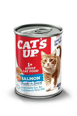 Cats Up Yaş Yetişkin Kedi Maması Somonlu 415gr 