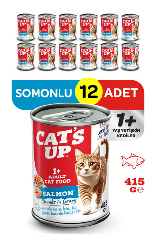 Cats Up Yaş Yetişkin Kedi Maması Somonlu 415gr 12Li