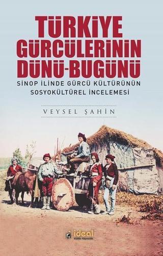 Türkiye Gürcülerinin Dünü Bugünü - Veysel Şahin - İdeal Kültür Yayıncılık