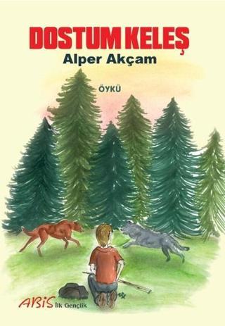 Dostum Keleş - A. Alper Akçam - Abis Yayınları