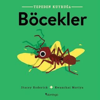 Tepeden Kuyruğa-Böcekler - Stacey Roderick - Domingo Yayınevi