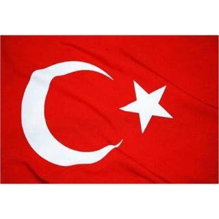 Kale Bayrak Türk Bayrağı 20 x 30 cm 10'lu Paket