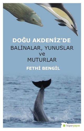 Doğu Akdeniz'de Balinalar Yunuslar ve Muturlar - Fethi Bengil - Hiperlink