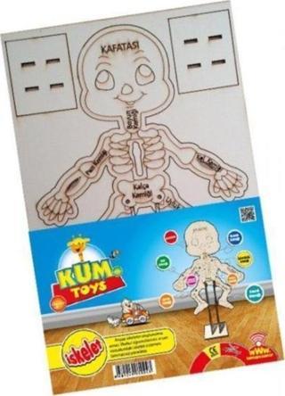 Kum Toys İskelet Maketi