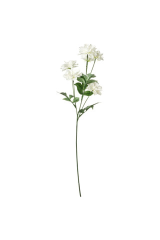 Ikea Smycka Yapay Çiçek Beyaz 66 Cm Yıldız Çiçeği