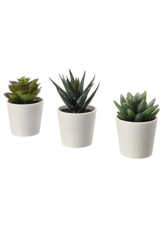 Ikea Premium Ürün Kaliteli Tasarım Göz Alıcı Kolay Temizlik 3 Adet 6 Cm Saksılı Yapay Bitki Kaktüs Fejka
