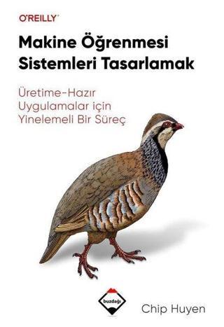 Makine Öğrenmesi Sistemleri Tasarlamak: Üretime - Hazır Uygulamalar İçin Yinelemeli Bir Süreç - Chip Huyen - Buzdağı Yayınevi-Eğitim