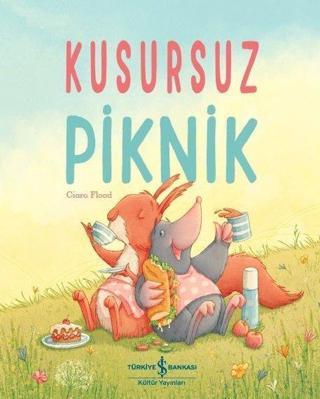 Kusursuz Piknik - Ciara Flood - İş Bankası Kültür Yayınları