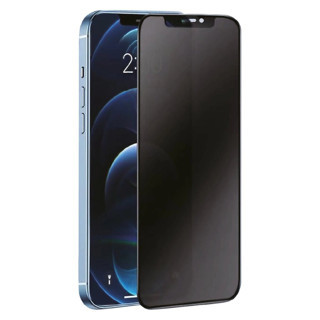 Bilfold Galaxy S25 Fe 3D Antistatik Hayalet Cam Ekran Koruyucu - Siyah