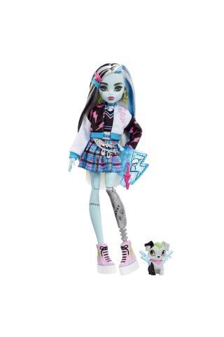 Monster Hıgh HHK53 | Mh Core Doll Frankie