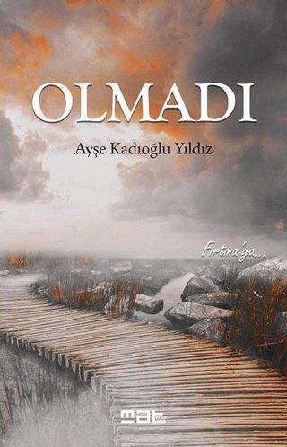 Olmadı - Ayşe Kadıoğlu Yıldız - Mat Kitap