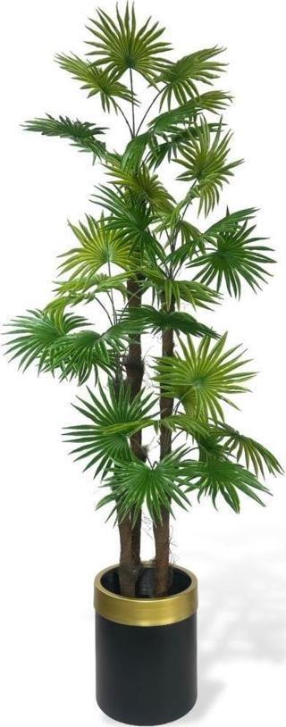 Netten Evime Yapay Ağaç Yelpaze Palmiye 4Katlı Fanpalm 32 Yaprak Altın Kemerli Siyah Saksıda 170*65 cm
