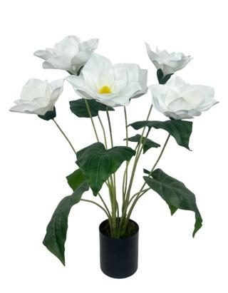 Yapay Çiçek Islak Manolya Çiçeği 6 Çiçekli 65cm Siyah Saksıda  Salon Çiçeği