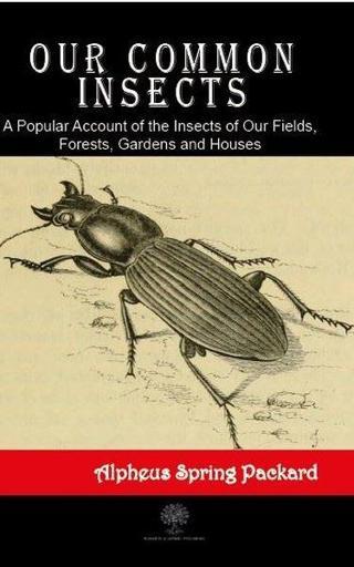 Our Common Insects - Alpheus Spring Packard - Platanus Publishing