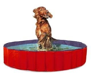 Karlie Köpek Havuzu 160cm Çap Mavi Kırmızı