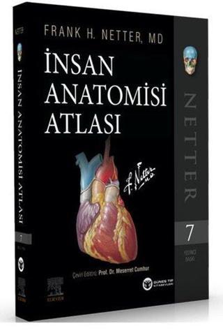 İnsan Anatomisi Atlası - Frank H. Netter - Güneş Tıp Kitabevleri