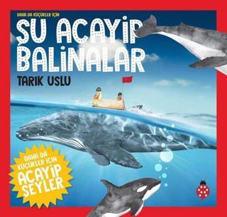 Daha da Küçükler İçin Şu Acayip Balinalar - Uğurböceği
