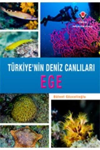 Ege - Türkiye'nin Deniz Canlıları - Bülent Gözcelioğlu - Tübitak Yayınları