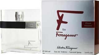 Salvatore Ferragamo F Pour Homme EDT 100 ml Erkek Parfümü