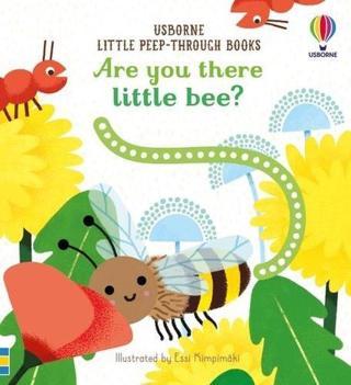 Are You There Little Bee? (Little Peep-Through Books) - Sam Taplin - Usborne