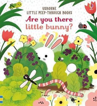 Are you there Little Bunny? (Little Peep-Through Books) - Sam Taplin - Usborne