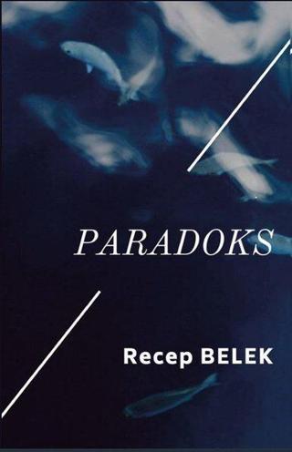 Paradoks - Recep Belek - Platanus Publishing