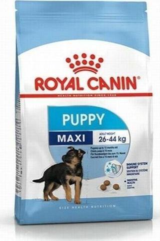 Royal Canin Maxi Puppy Büyük Irk Yavru Köpek Maması 15 Kg