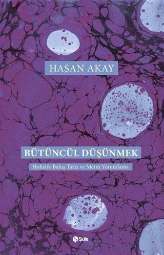 Bütüncül Düşünmek - Hasan Akay - Şule Yayınları