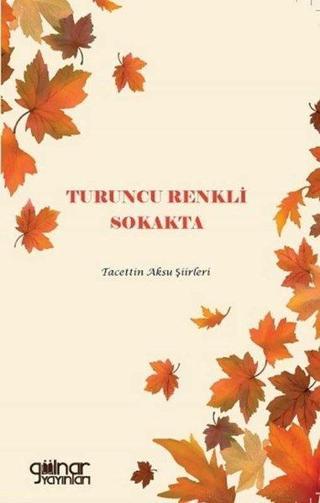Turuncu Renkli Sokakta - Tacettin Aksu - Gülnar Yayınları