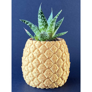 Alvera Ananas Formlu Saksı ve Kalemlik Kabartma Dokulu Sukulent Saksısı Masaüstü Bitki ve Kalem Tutucu