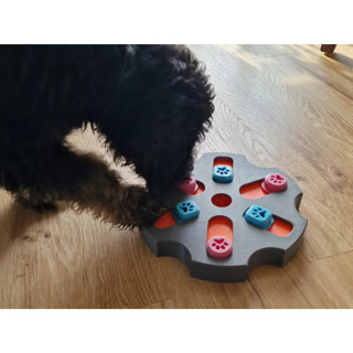 Alvera Köpek Zeka Küpü – Kaydırmalı Ödül Saklama Zeka Oyuncağı