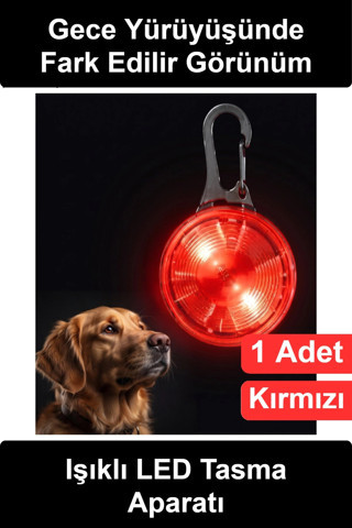 #TasmaIşığı Köpek Kedi Işıklı LED Güvenlik Aparatı Suya Dayanıklı Uzun Pil Ömürlü Kancalı Asma Akses