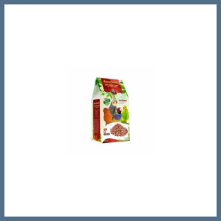 BuradaBulabilirsin Grit Kuş Kumu 300 Gr BBZ