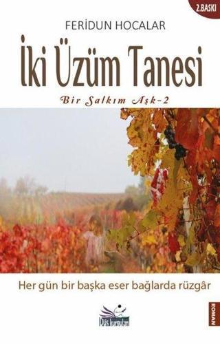 İki Üzüm Tanesi - Bir Salkım Aşk 2 - Feridun Hocalar - Düş Kurguları Yayınları