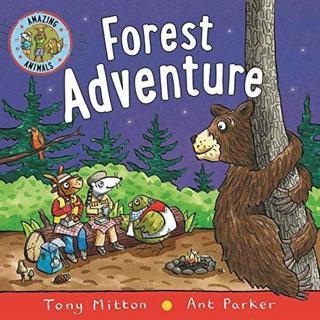 Amazing Animals: Forest Adventure - Tony Mitton - ROARING BROOK